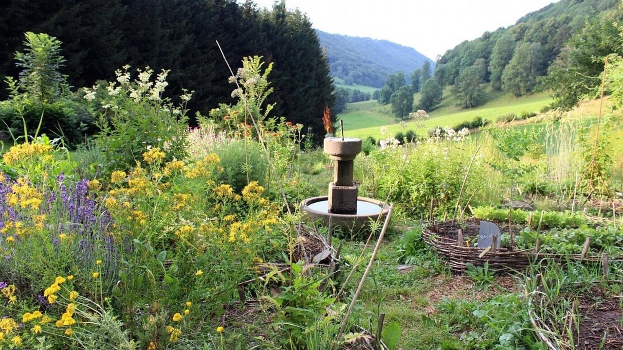 Photo of Outdoor in Saint-Martin-sous-Vigouroux