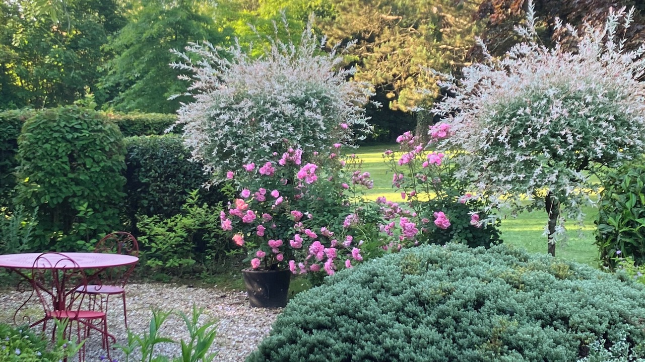 Photo of Patio Balcony in Le Brevedent