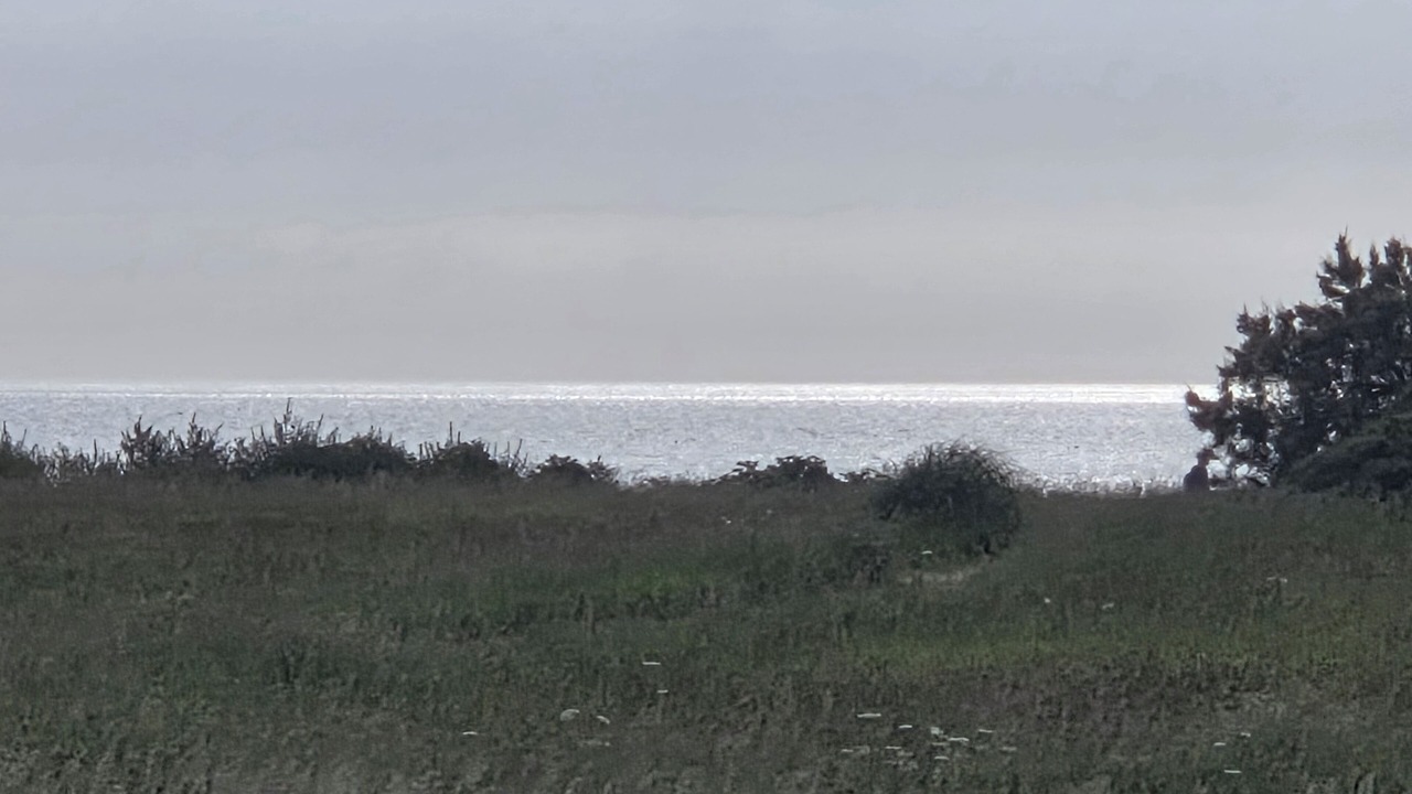 Photo of Others in Cotentin Peninsula