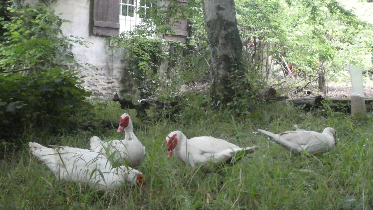 Photo of Others in Nanthiat