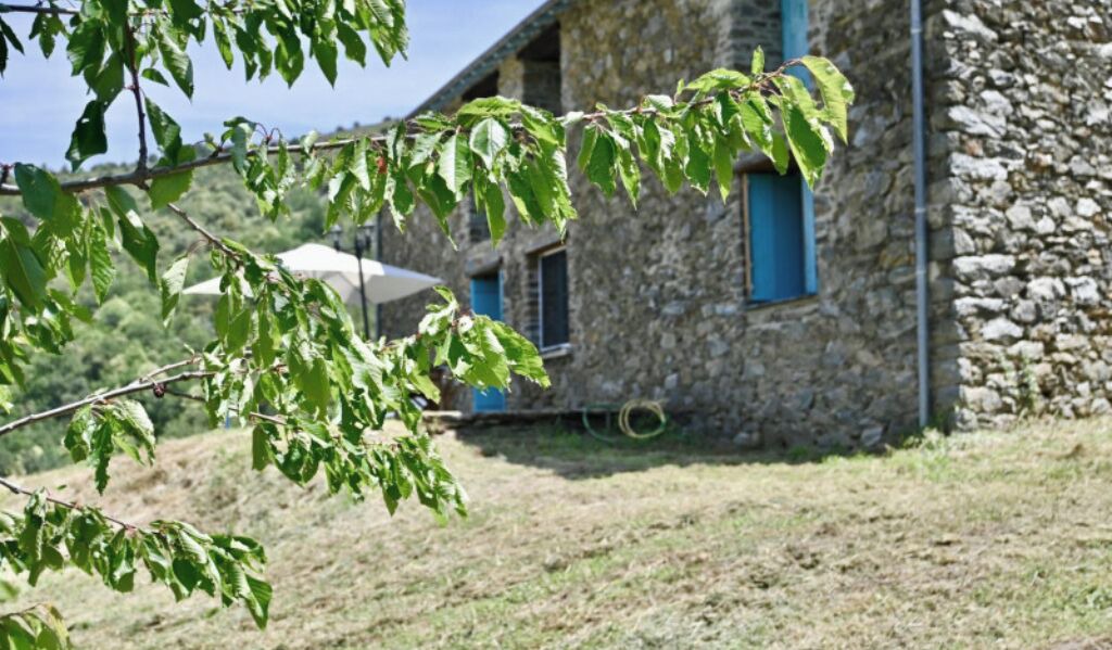 Photo of Outdoor in Souanyas