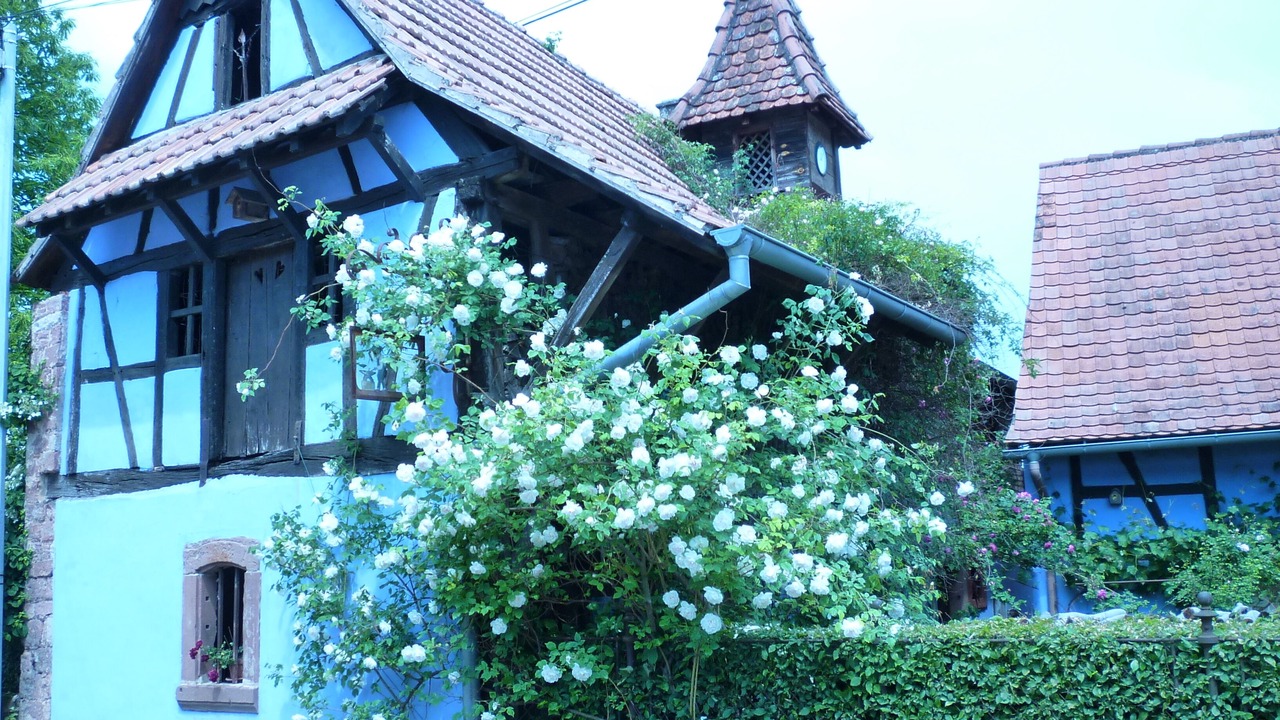 Photo of Outdoor in Uttenhoffen