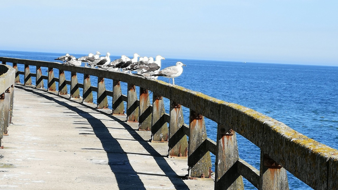 Photo of Outdoor in Isigny-sur-Mer