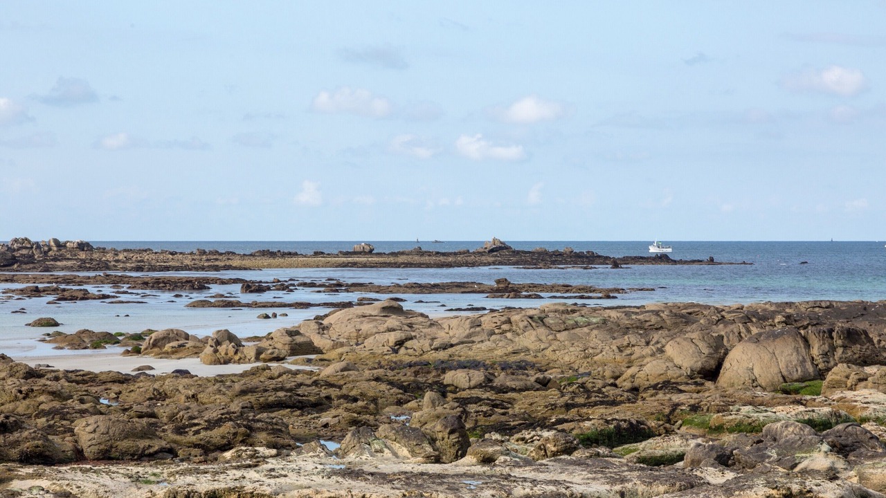 Photo of Others in Plobannalec-Lesconil