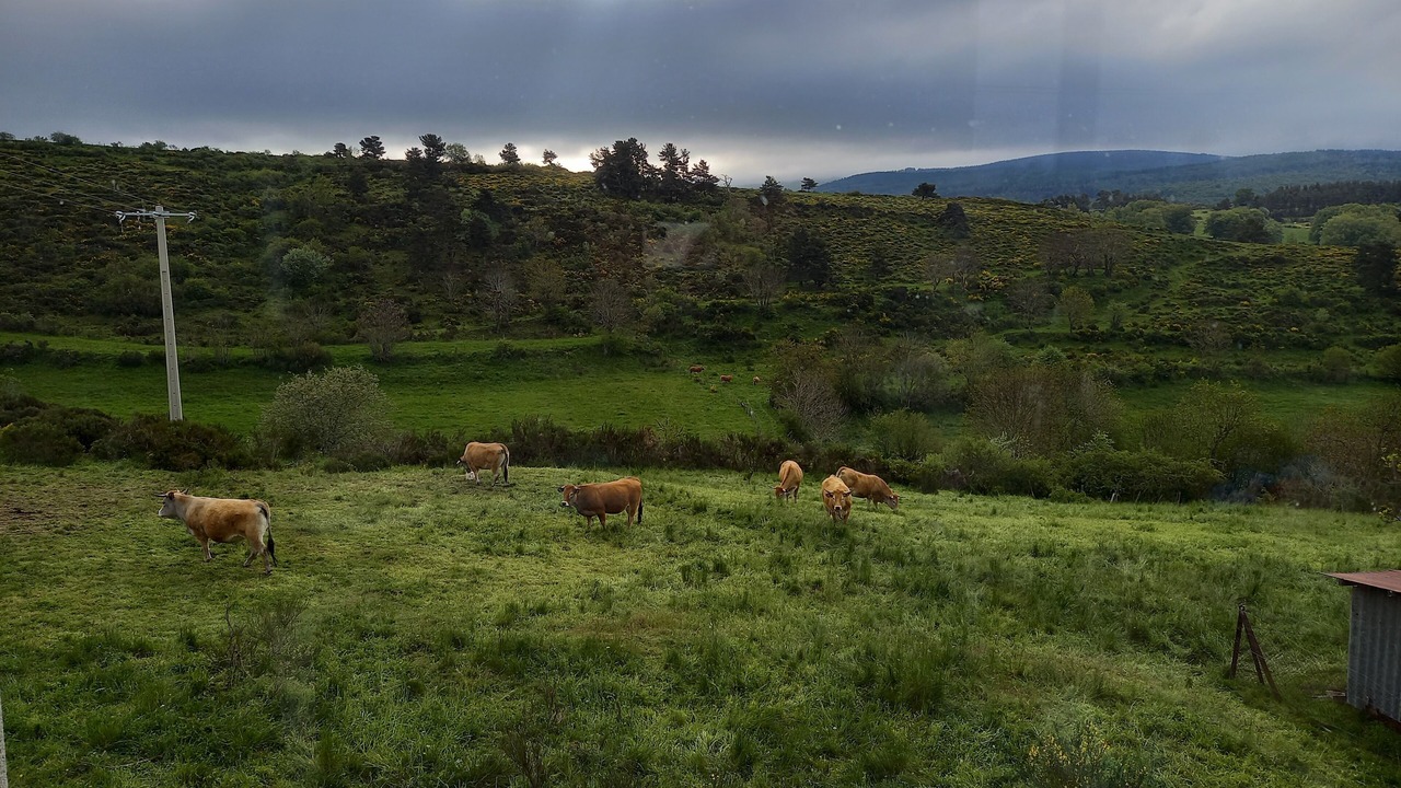 Photo of Outdoor in Saint-Denis-en-Margeride