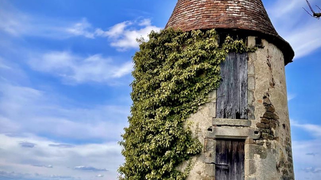 Photo of Others in Saint-Aubin-le-Monial