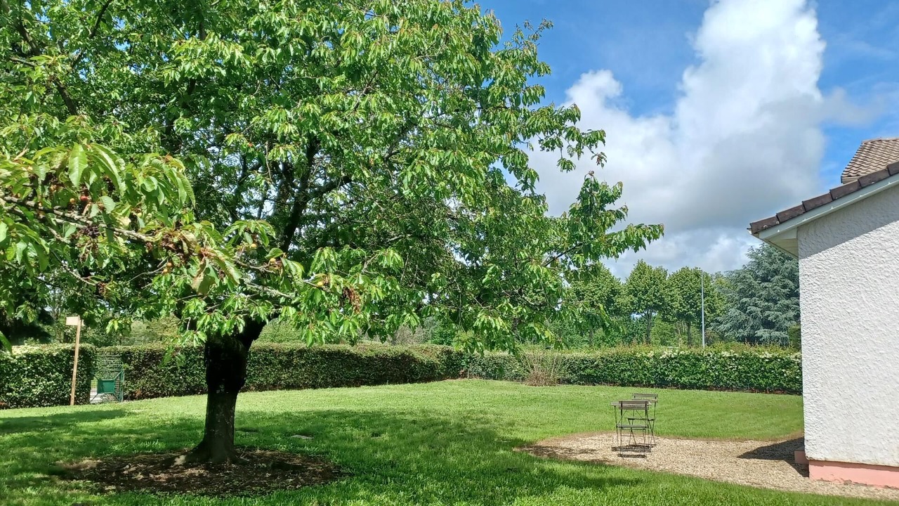 Photo of Outdoor in Montceau-les-Mines