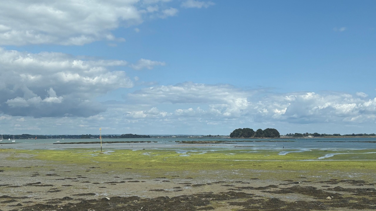 Photo of Others in Ile-aux-Moines