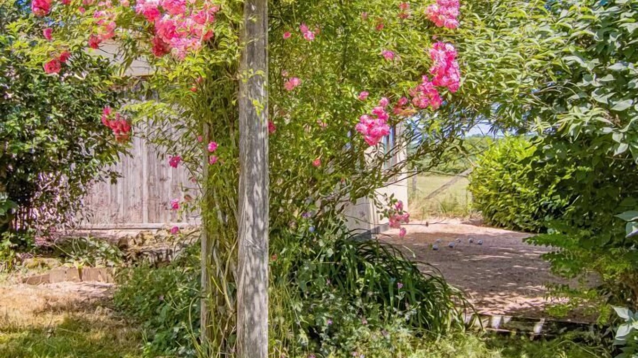 Photo of Outdoor in Viry
