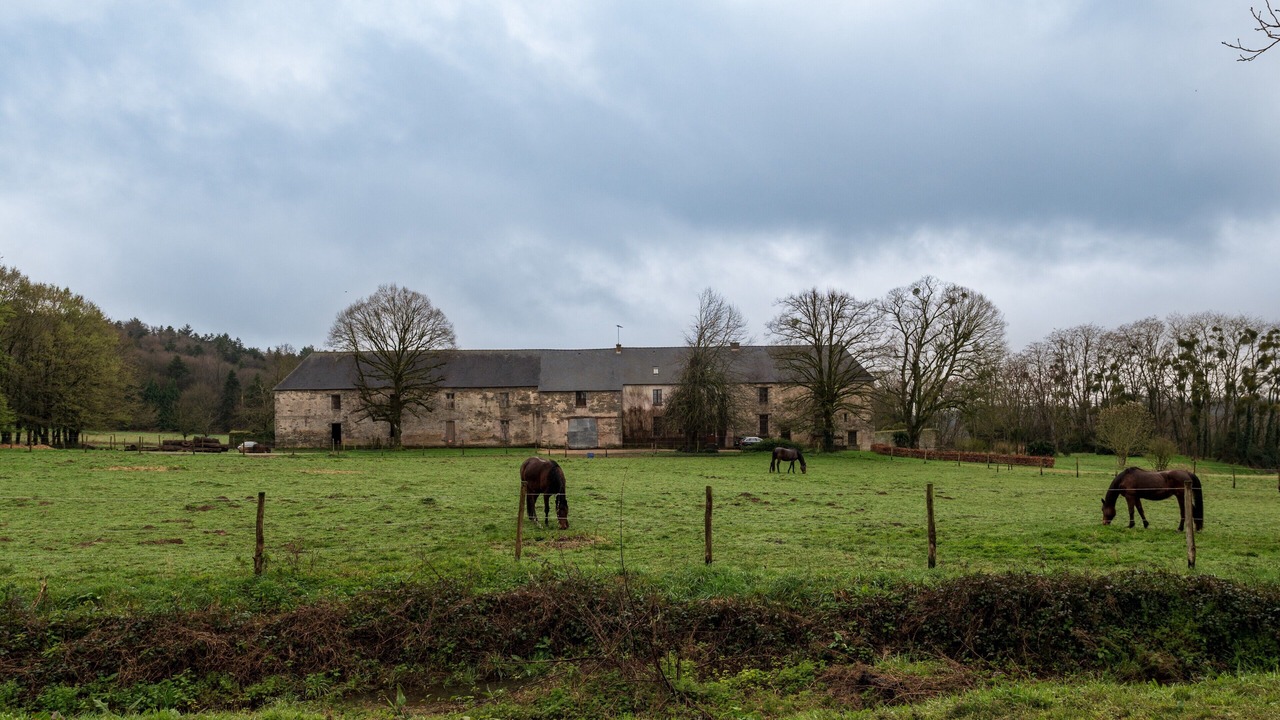 Photo of Others in La Chapelle-Caro