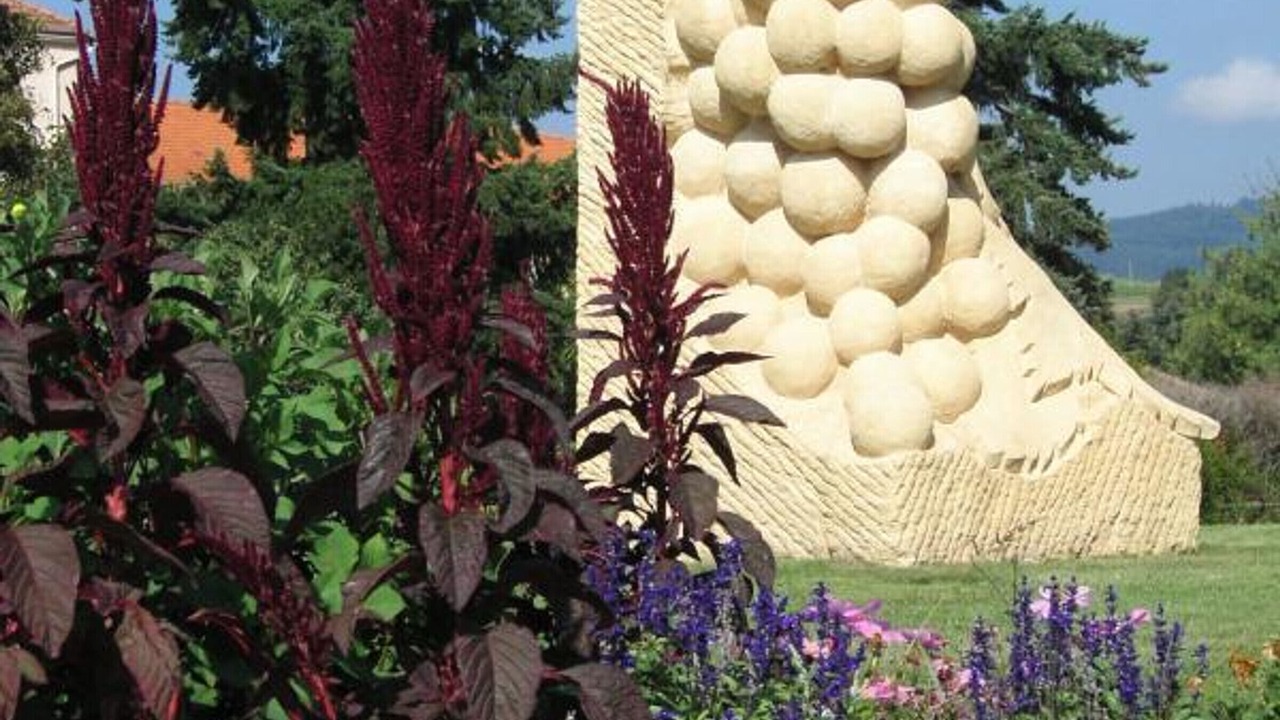 Photo of Outdoor in Saint-Andre-dʼApchon