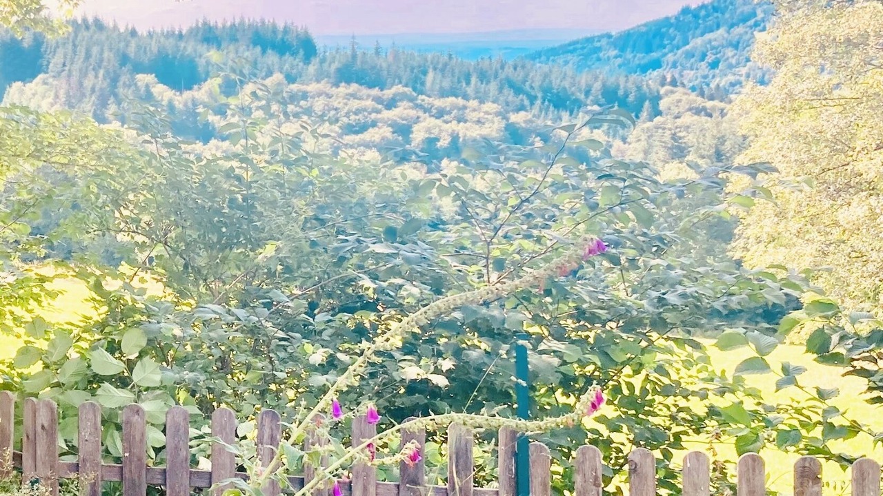 Photo of Outdoor in Ambert
