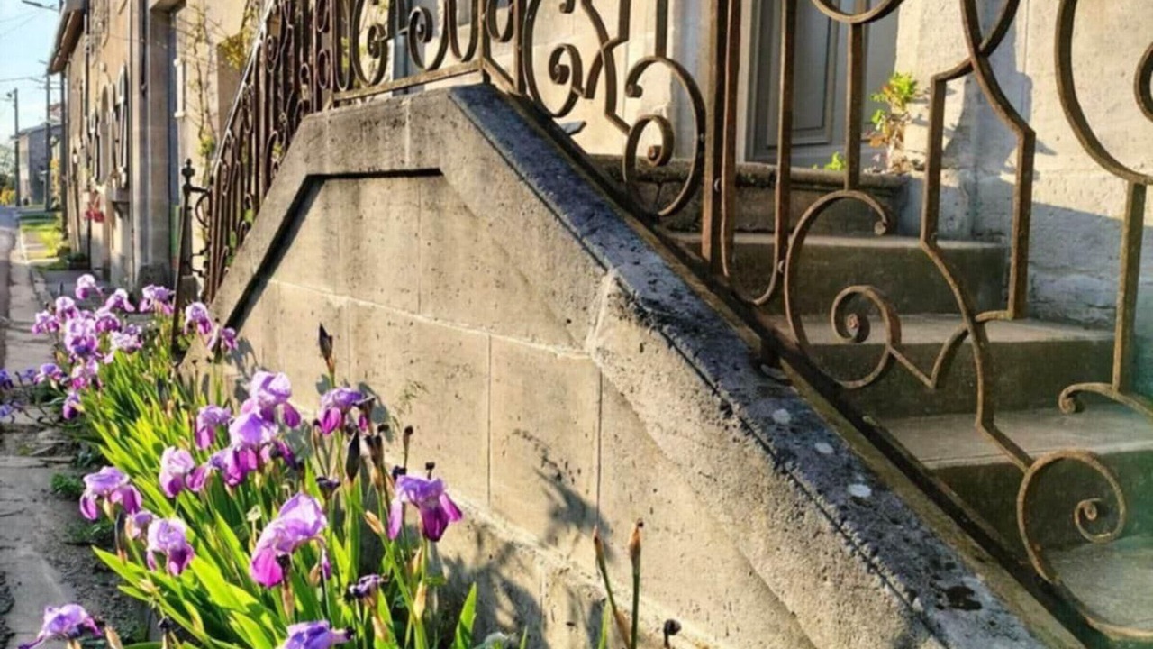 Photo of Outdoor in Menil-sur-Saulx