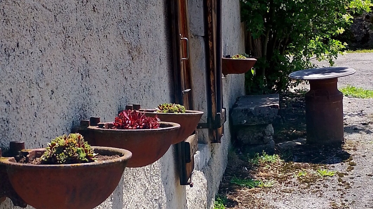 Photo of Outdoor in Le Larderet