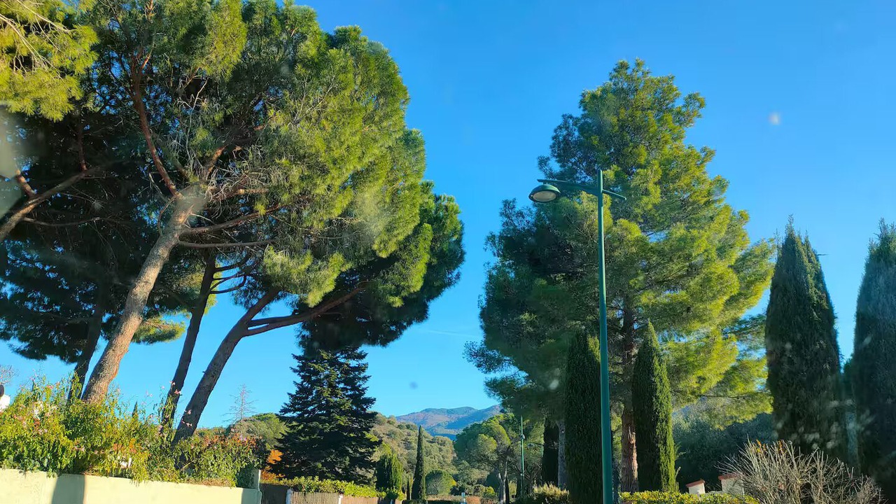 Photo of Others in Montesquieu-des-Alberes
