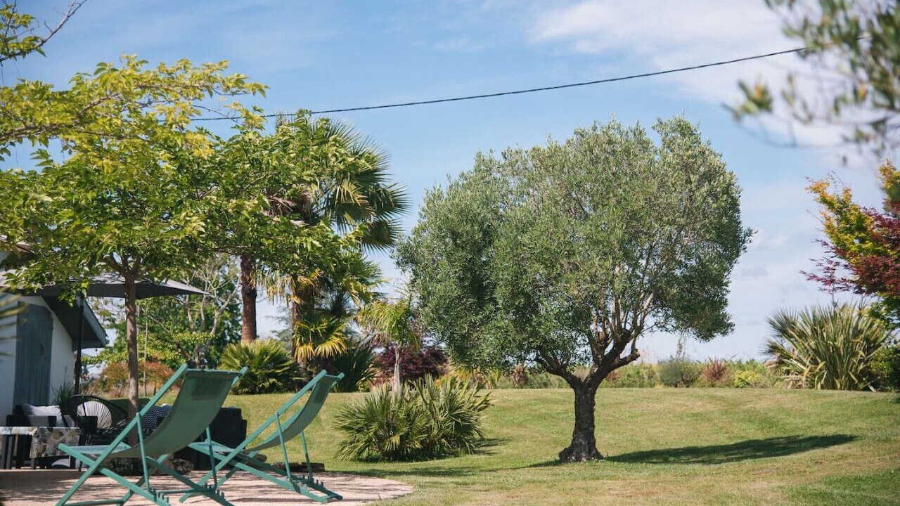 Photo of Others in Saubrigues