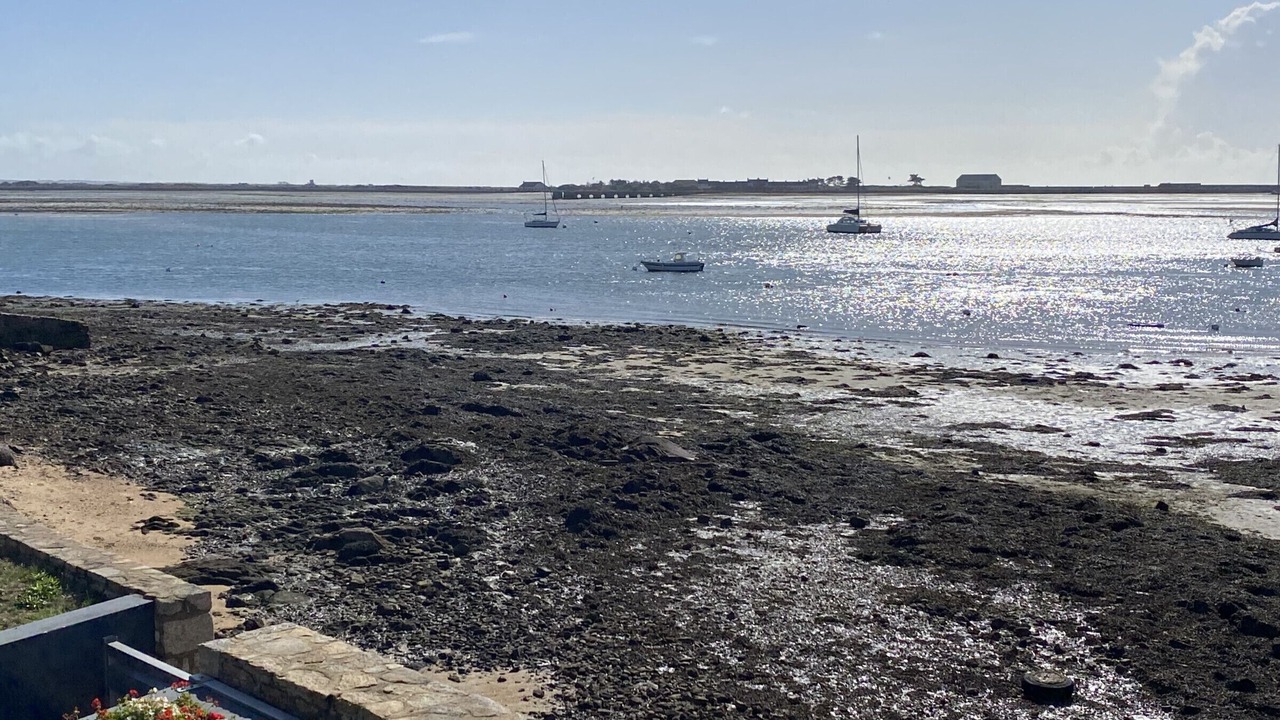 Photo of Others in Port-Louis