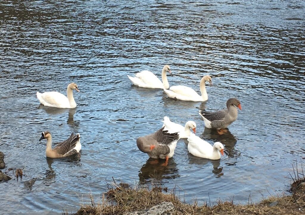 Photo of Others in Saint-Vincent