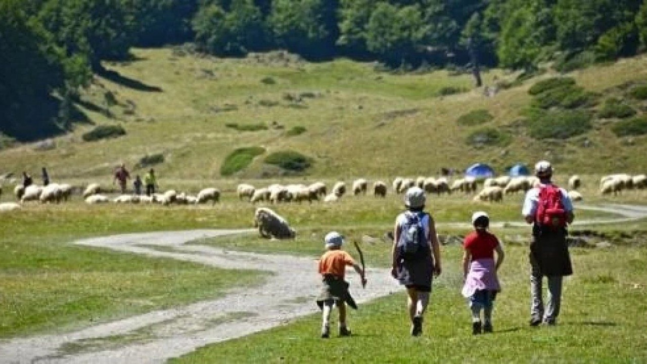 Photo of Others in Aramits