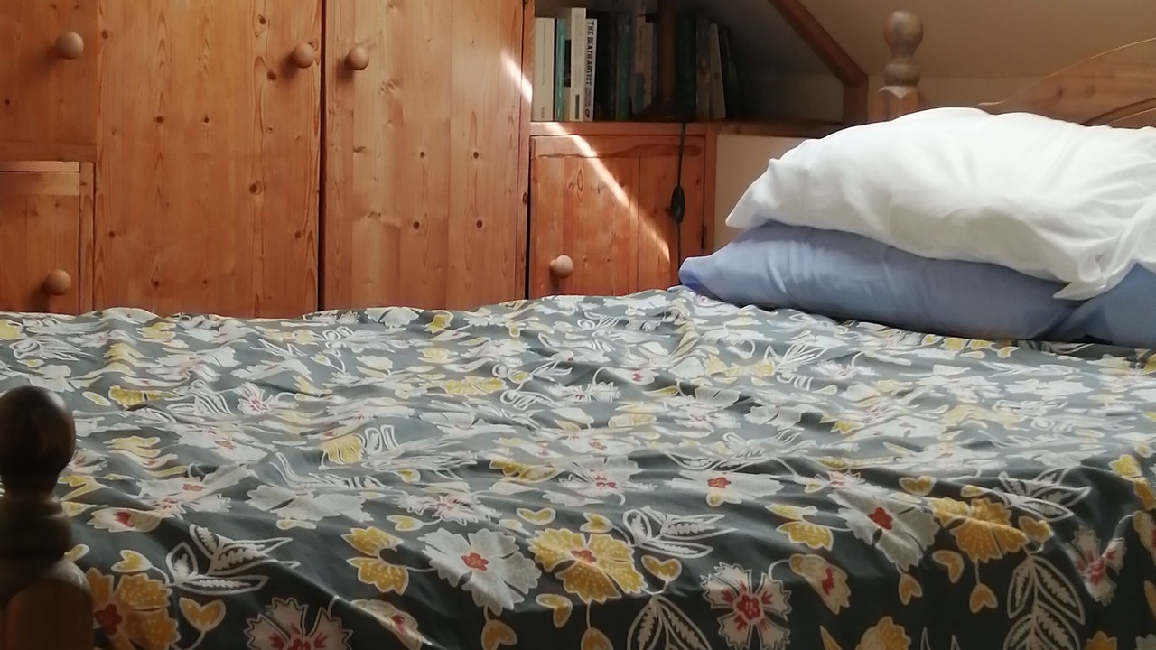 Photo of Bedroom in Pleugriffet