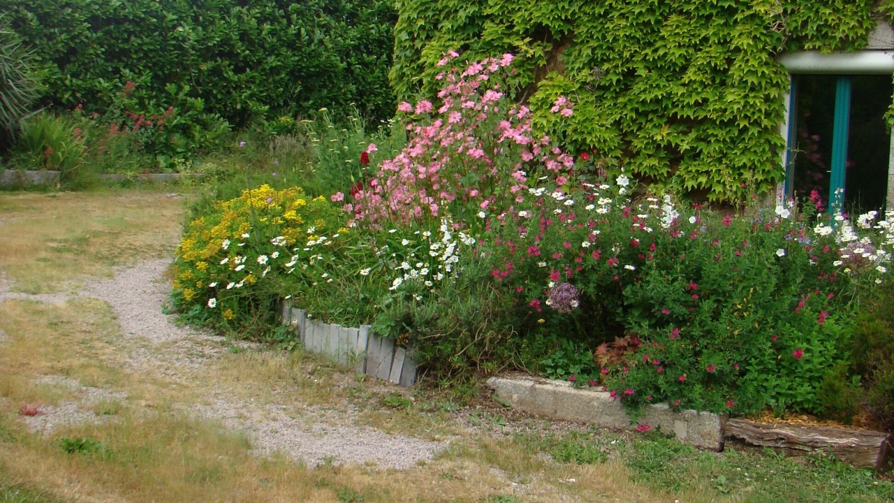 Photo of Outdoor in Saint-Donan
