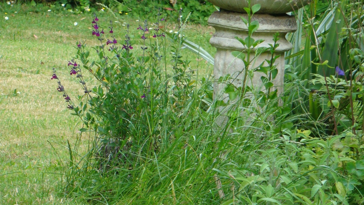 Photo of Outdoor in Saint-Donan