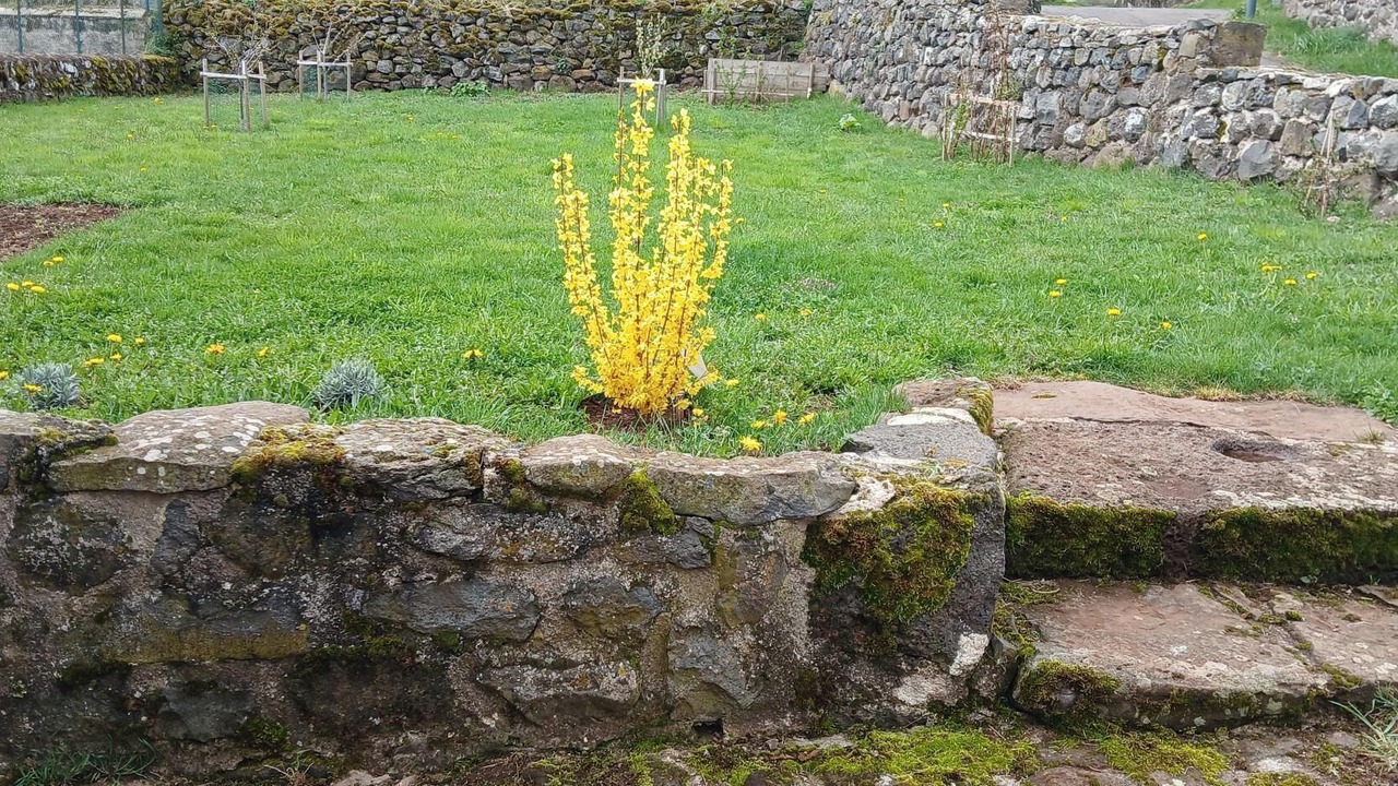 Photo of Outdoor in Seneujols