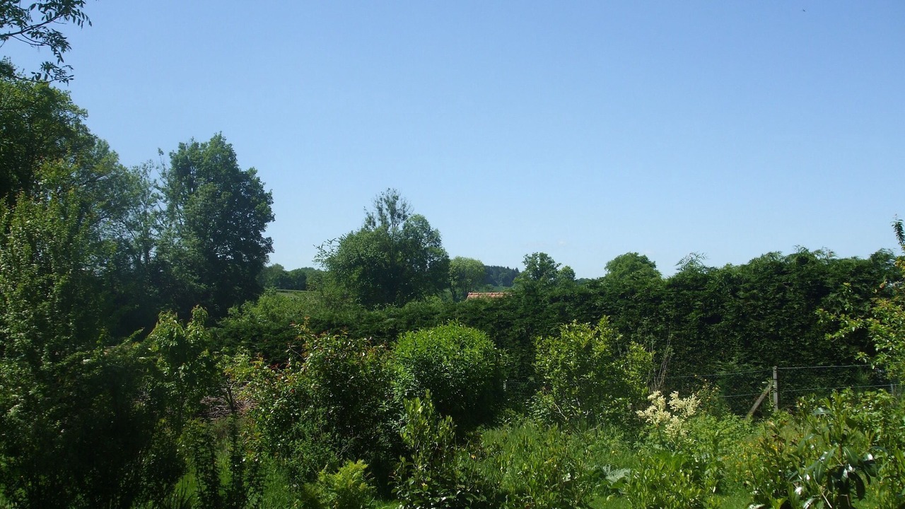 Photo of Others in Pionsat