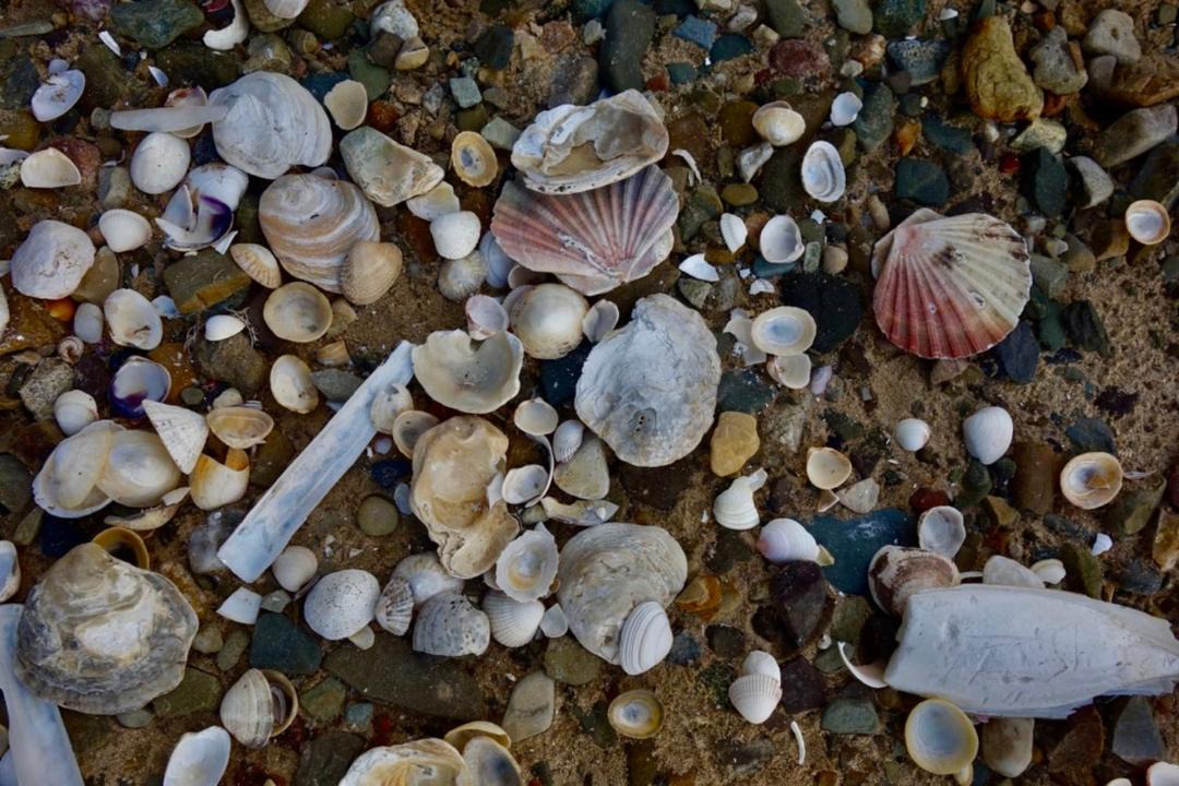 Photo of Others in Barneville-Carteret