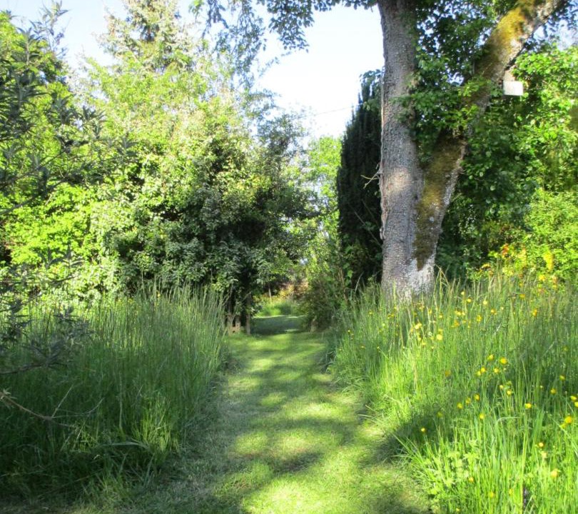 Photo of Others in Lurcy-le-Bourg
