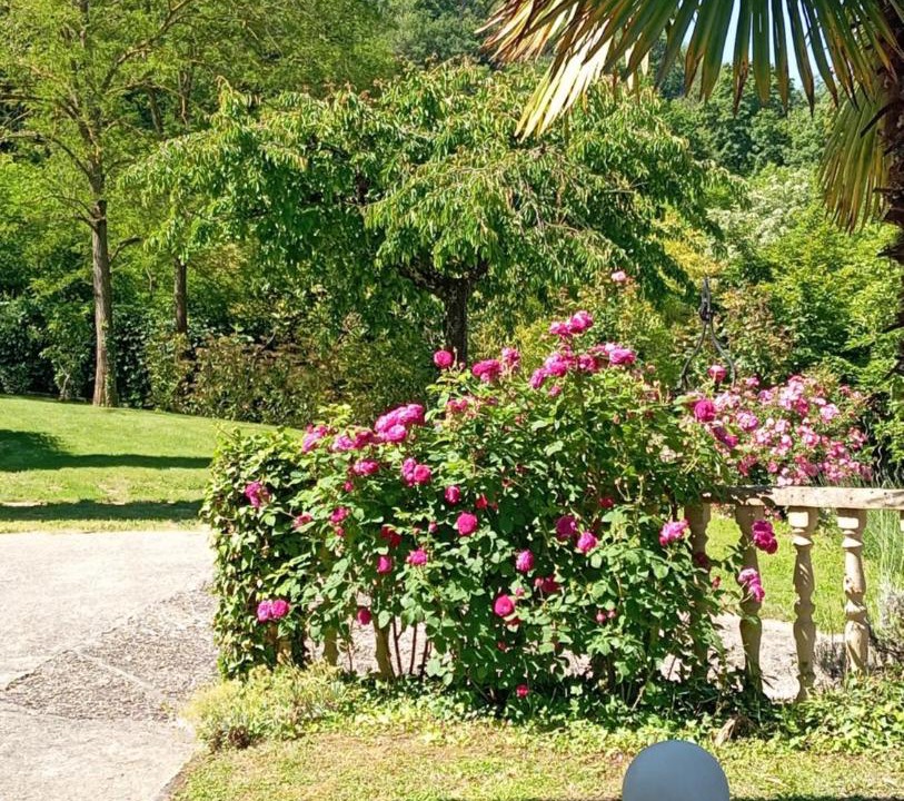 Photo of Outdoor in Vienne