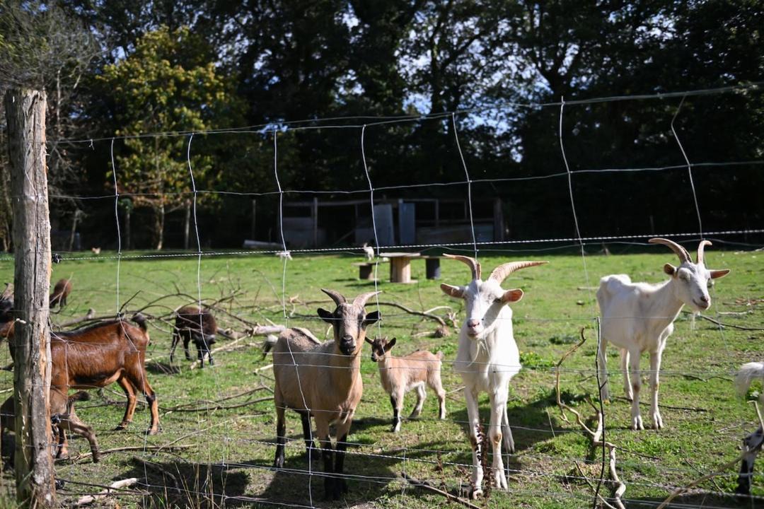 Photo of Others in Reguiny