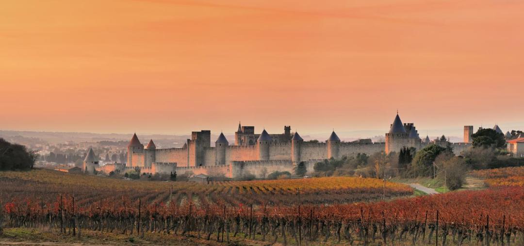 Photo of Others in Carcassonne