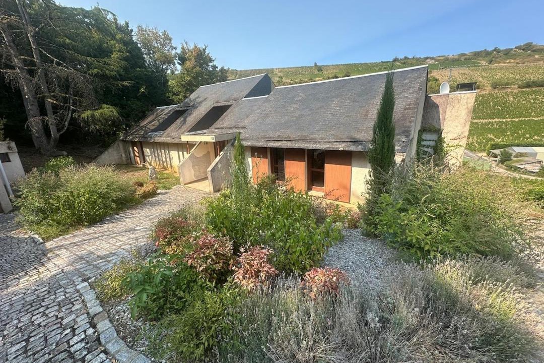 Photo of Others in Sancerre