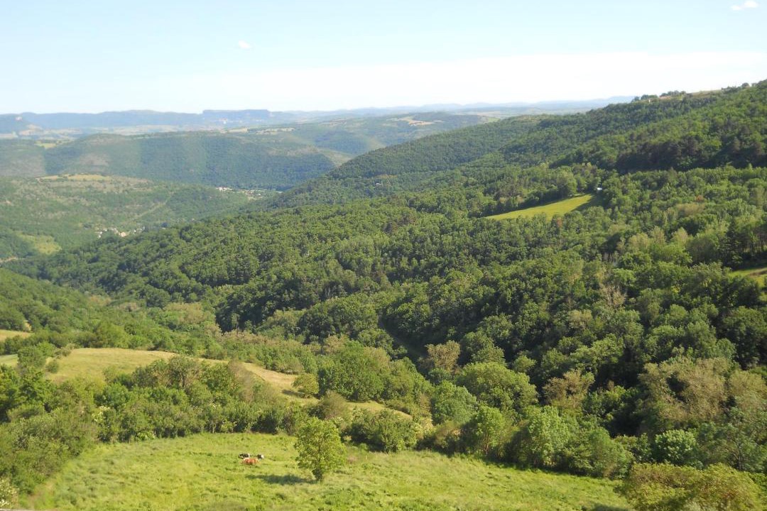 Photo of Others in Montjaux