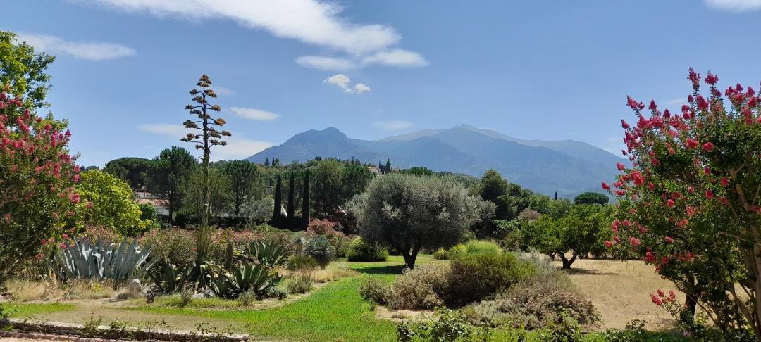 Photo of Others in Prades