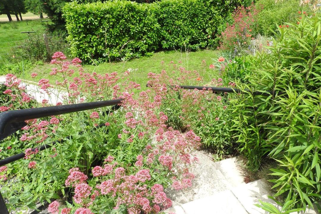 Photo of Outdoor in Haute-Rivoire