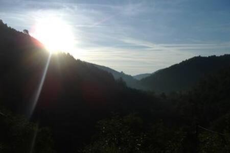 Photo of Others in Chambon