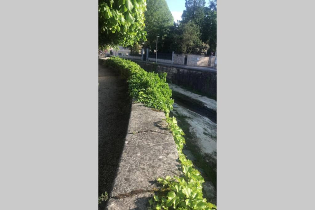 Photo of Others in Nuits-Saint-Georges