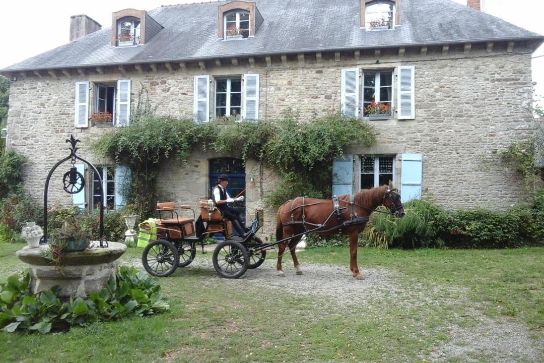 Photo of Others in Merdrignac