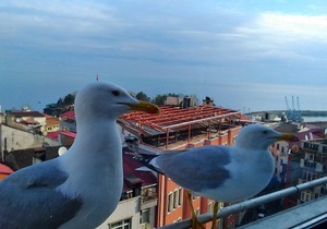 Usta Park Hotel in Trabzon