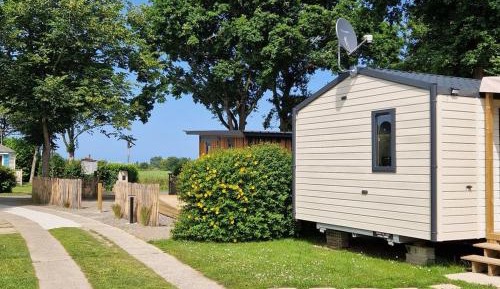 Mobile Home