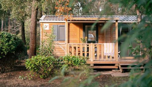 Mobile Home