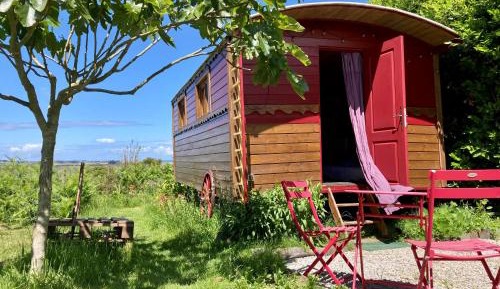 Double Room with Terrace