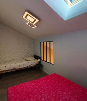 Le Peage-de-Roussillon Apartment | Le duplex du jardin des cils