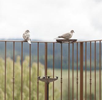 Les Grangettes Villa | Entre Lac & Jura, Maison de Standing pour 6 pers