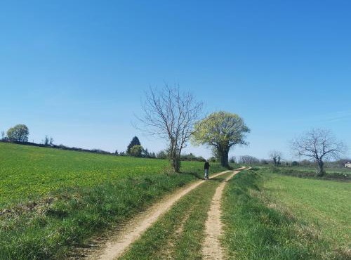 Grande Chambre et salle de bain pour 2 sur le chemin de Compostelle